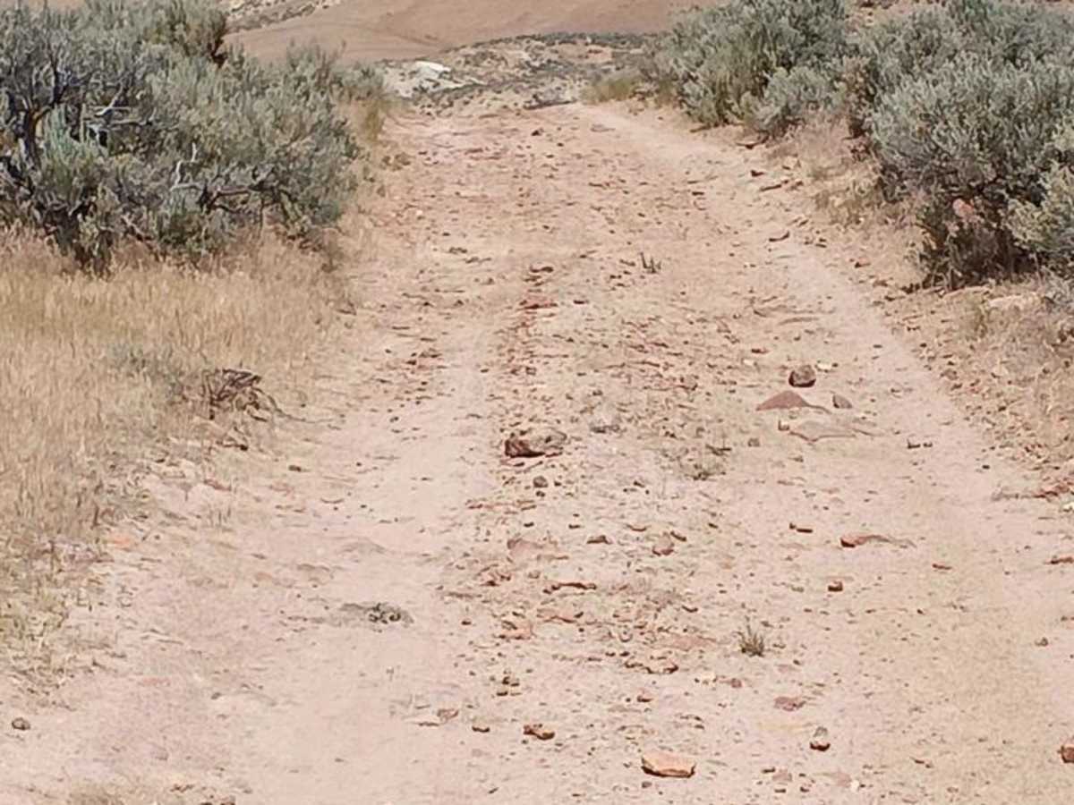Three Fingers Gulch Trail photo 4