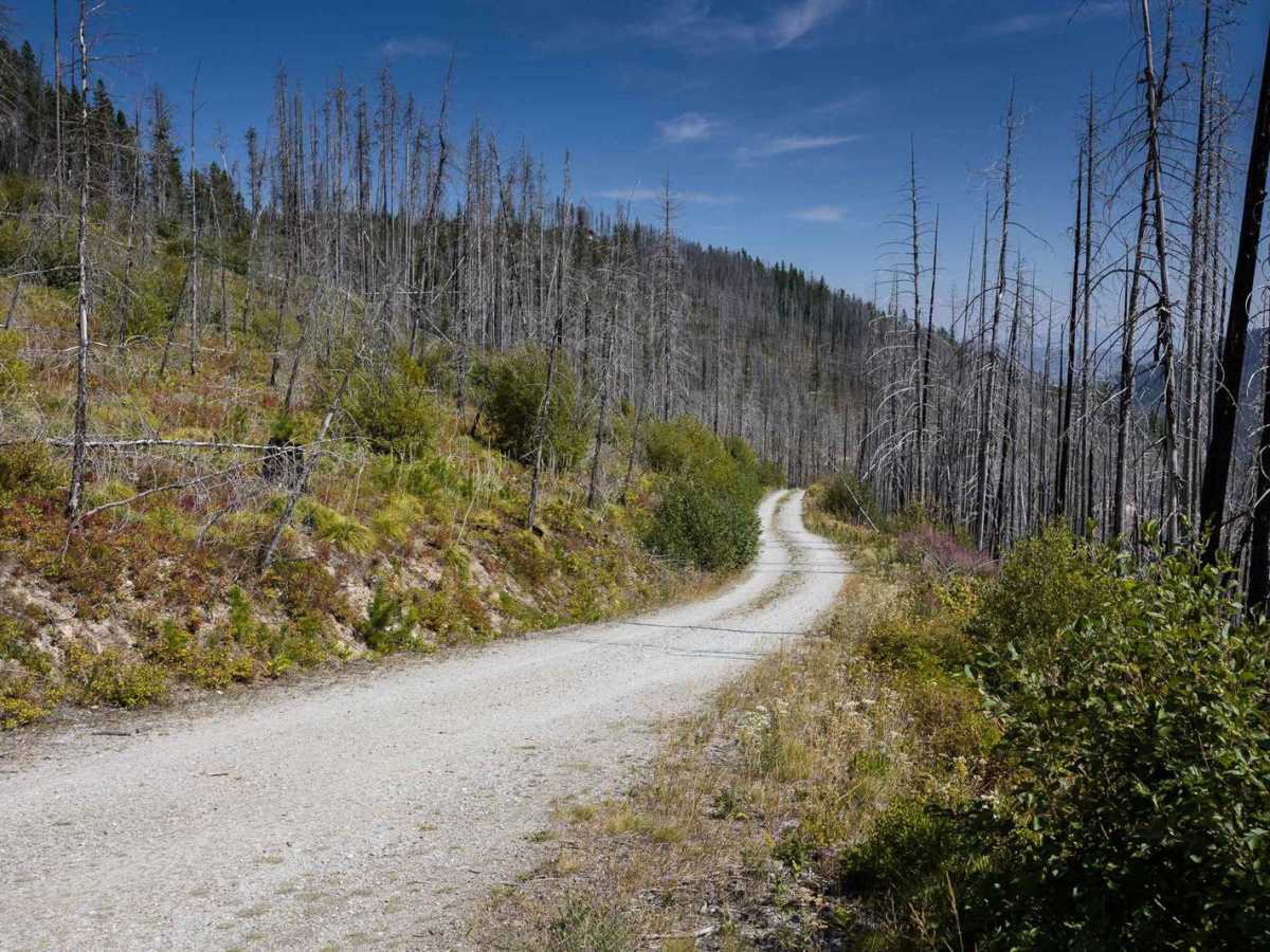 Small Creek FS 4292 photo 4
