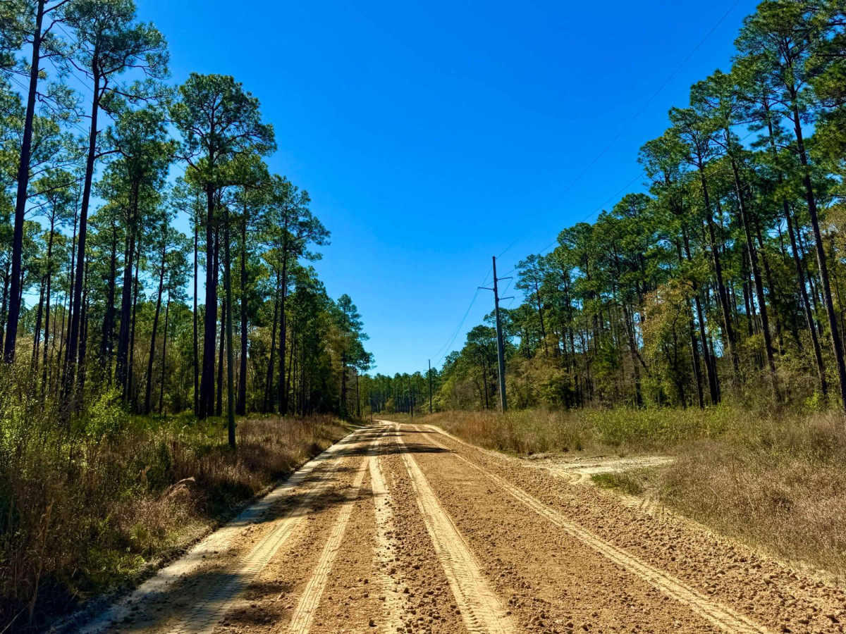 Otter Camp Road - FS 344 photo 4