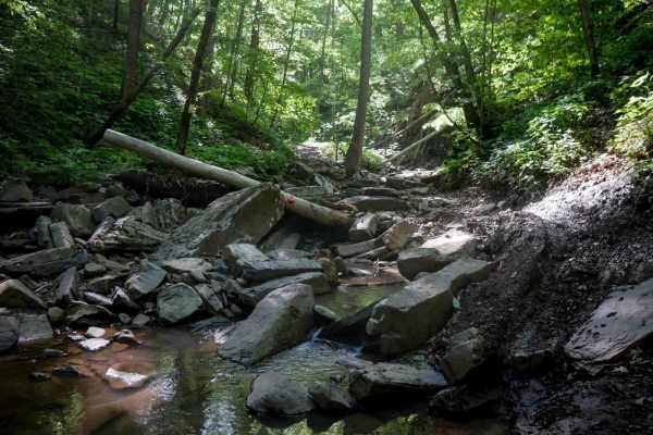 Waterfall Trail