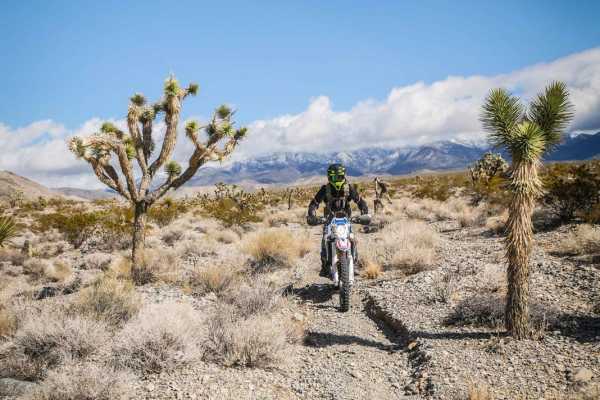 Cactus Trail
