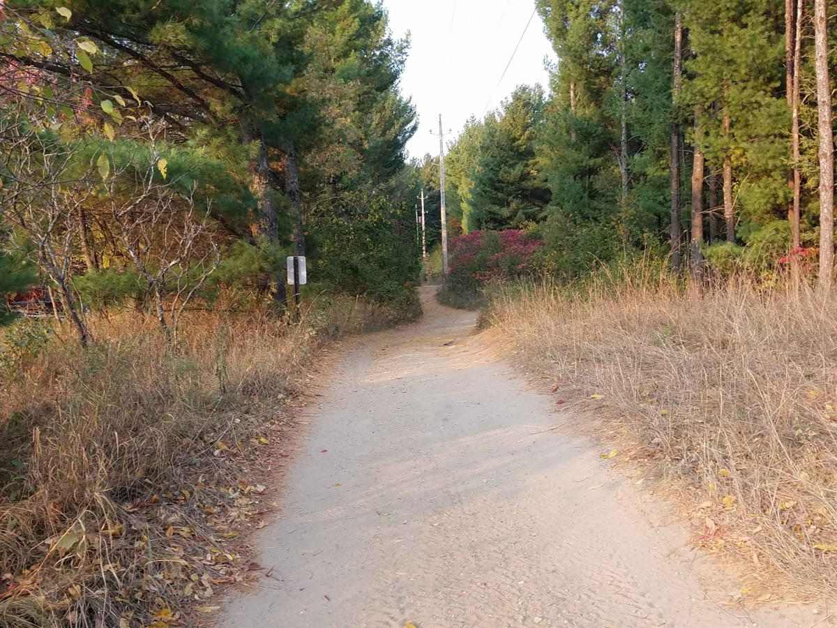 Minnesota 34 Ditch Trail 6.1 photo 4