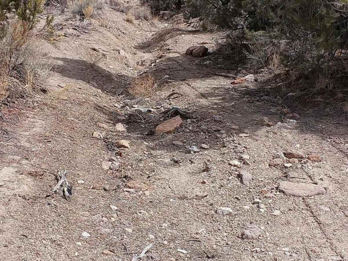 Douglas Spring - 44501 photo 5