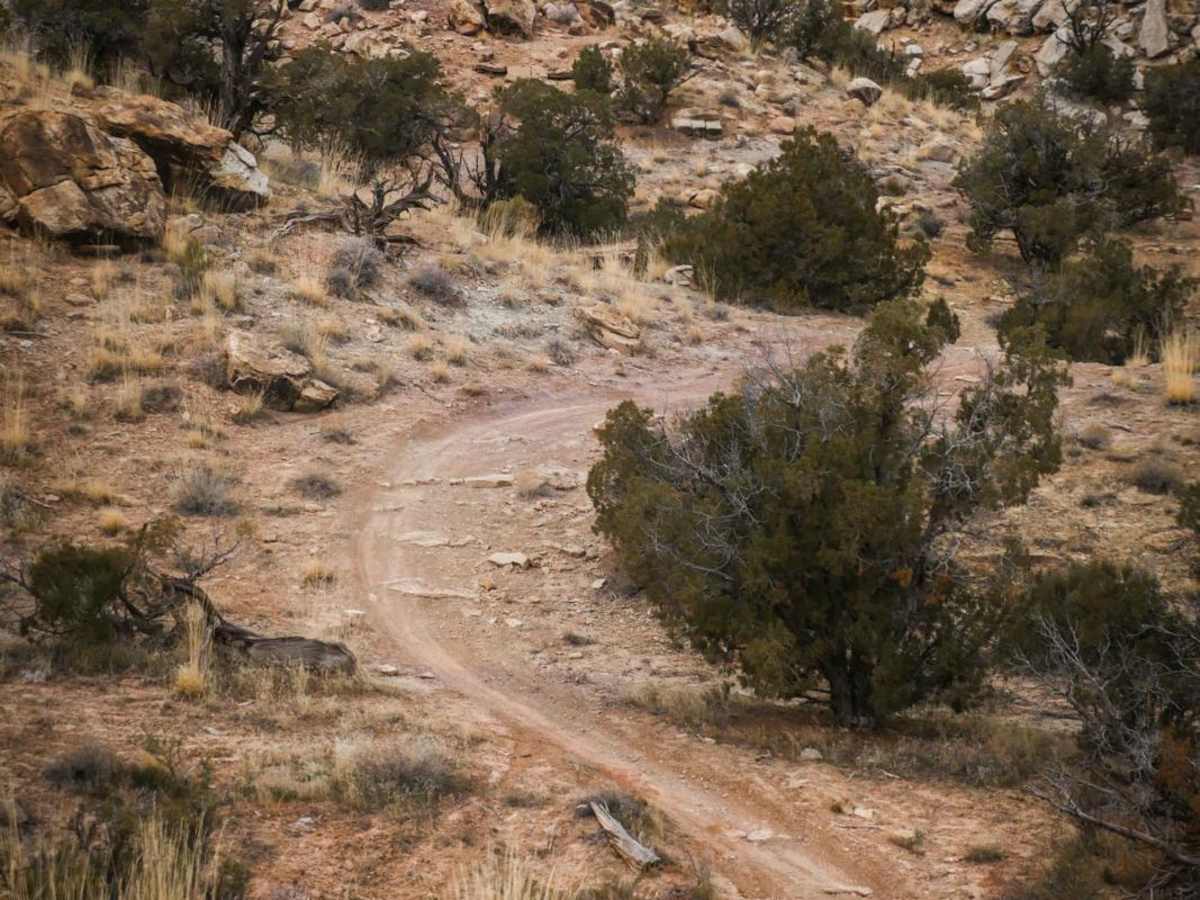 Trail 3 photo 6