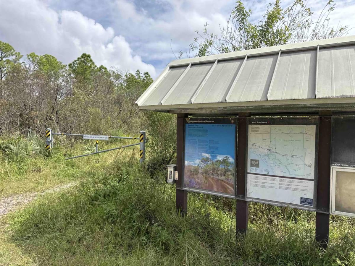 Turner River Road - CR 839 photo 6