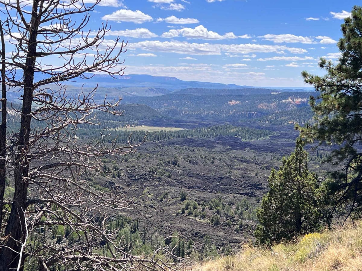 Birch Spring Pass Creek - BLM32000.3 trail photo