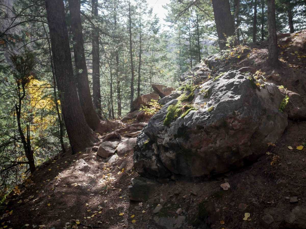 Dutch Creek trail photo