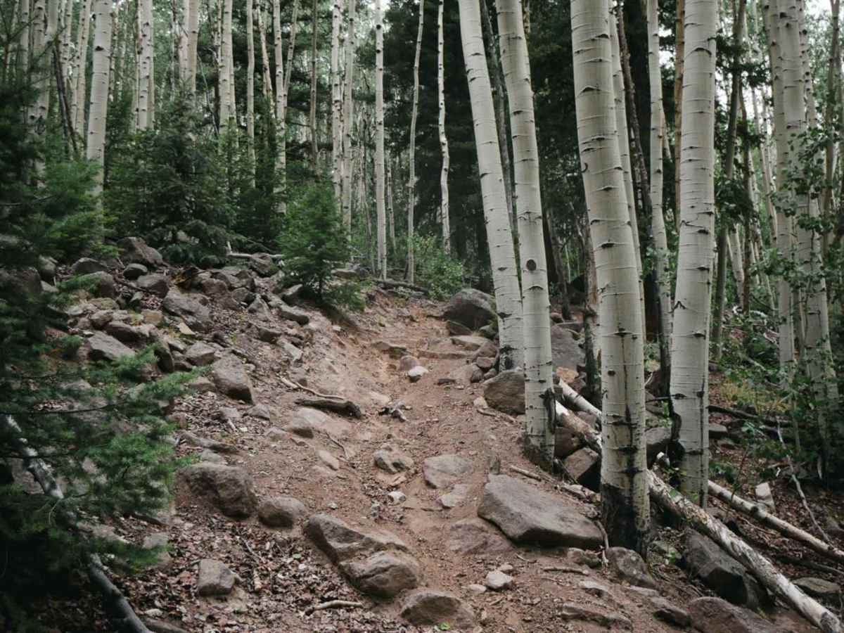Hot Creek Trail photo 3