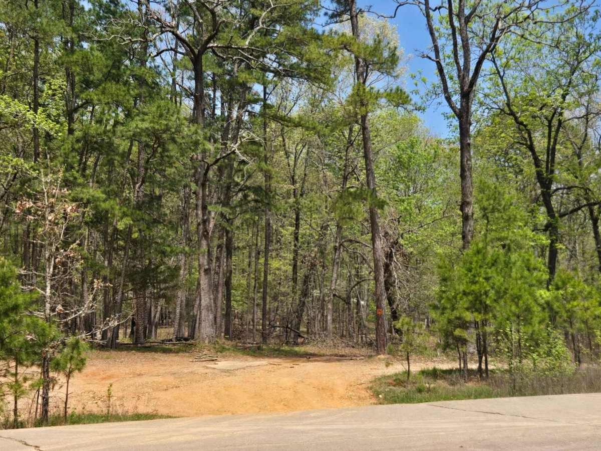 Bee Creek Trail photo 3