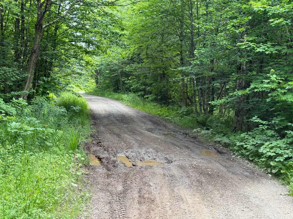 River Denys Mountain Road photo 5