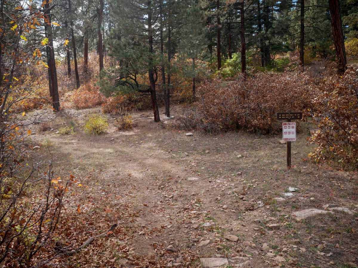 Mule Mountain Spur 1 photo 6