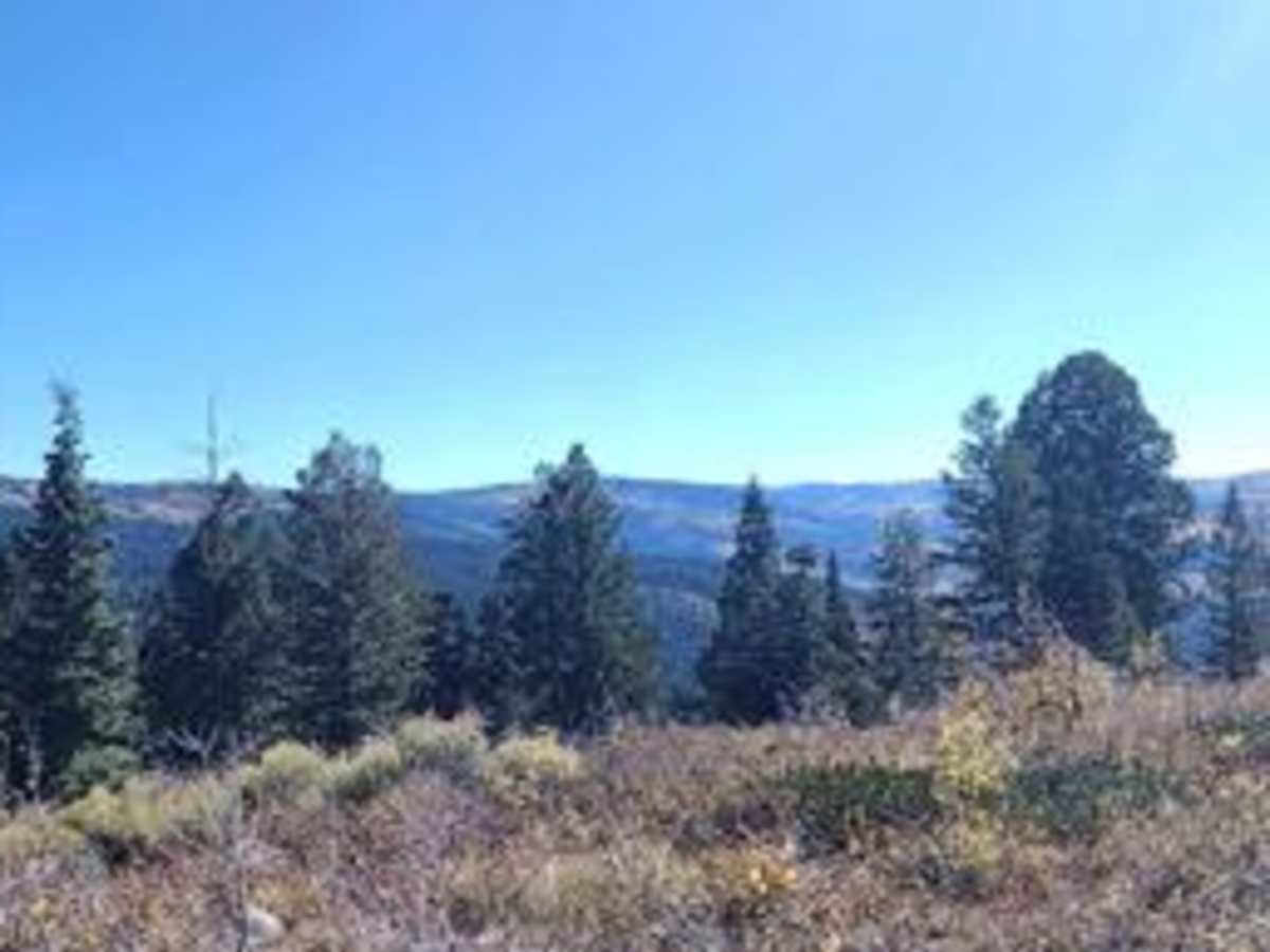 Cedar Hollow OHV Trail FS 80203 photo 5