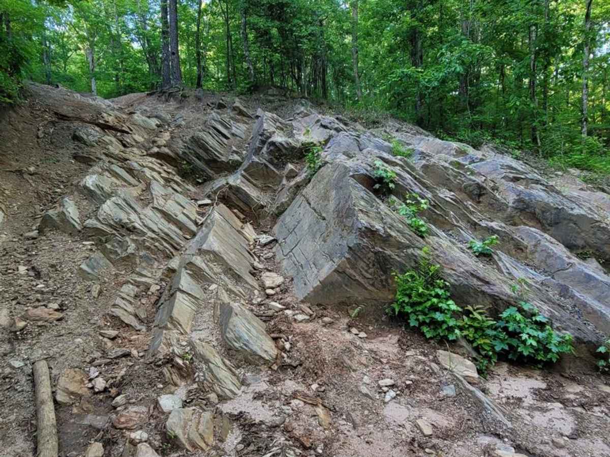 Crow's Nest trail photo