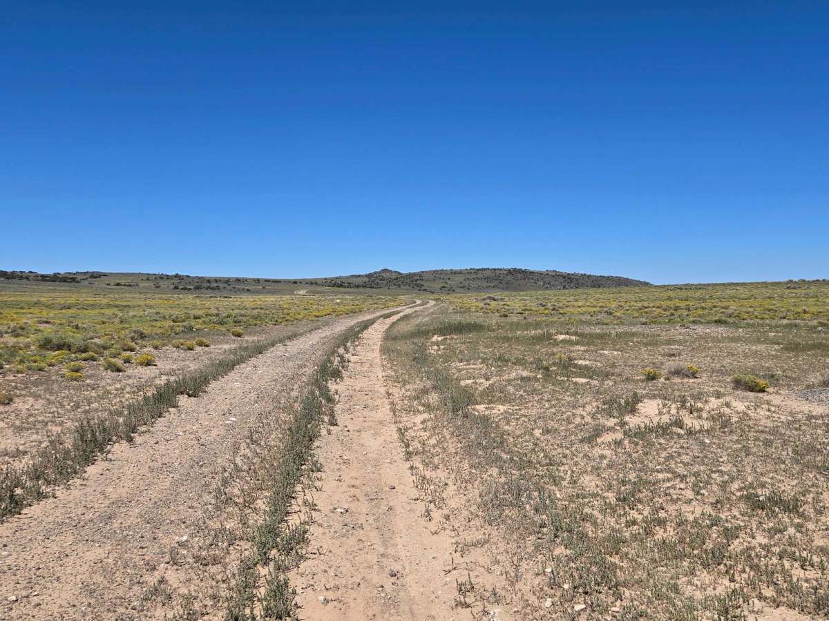 Parker Mountain 18 photo 5