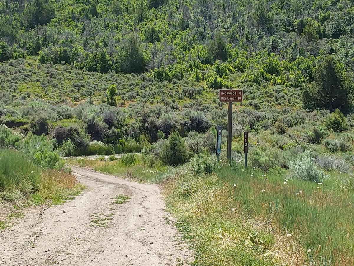 Roy's Elk Bugling Trail trail photo