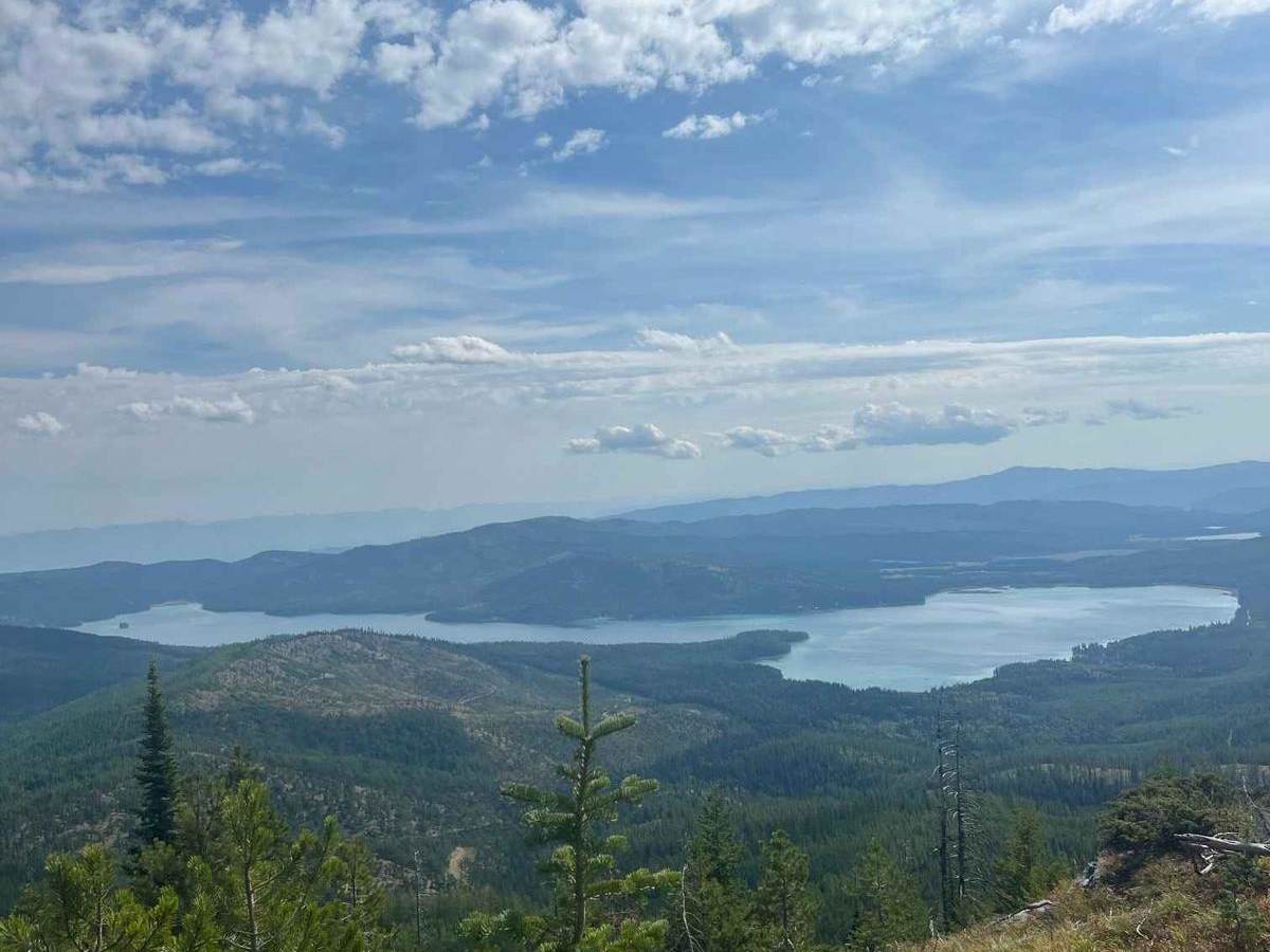 Ashley Divide trail photo