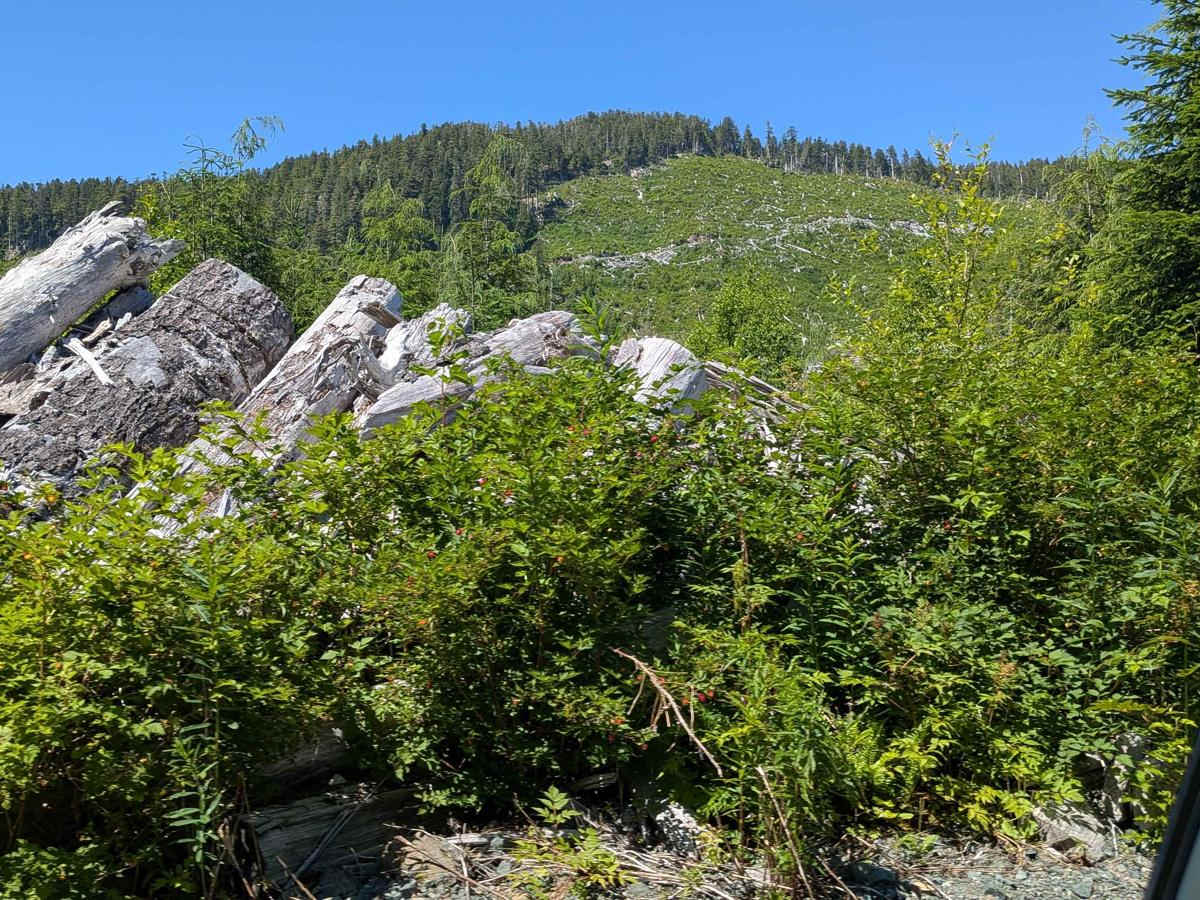 K22 Cutoff photo 6