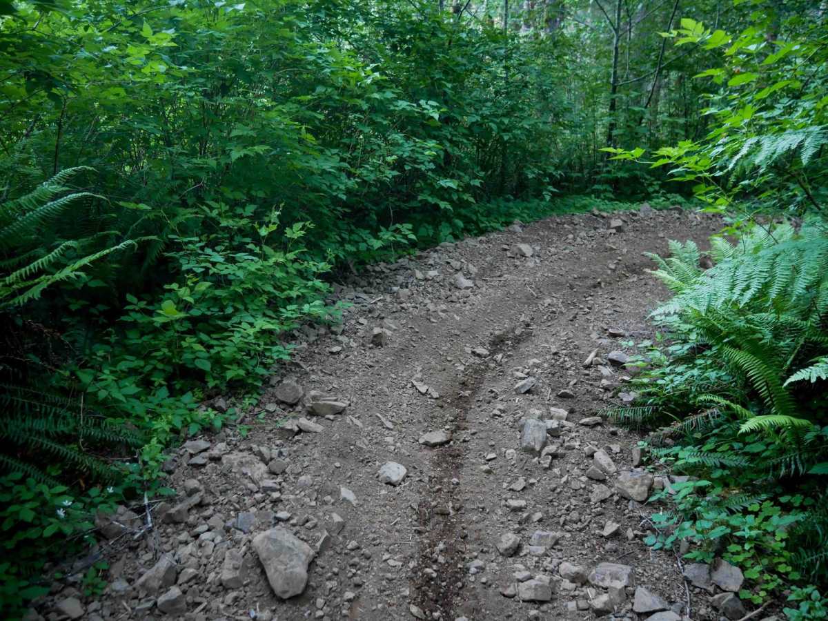 Plastic Downhill #110 photo 5