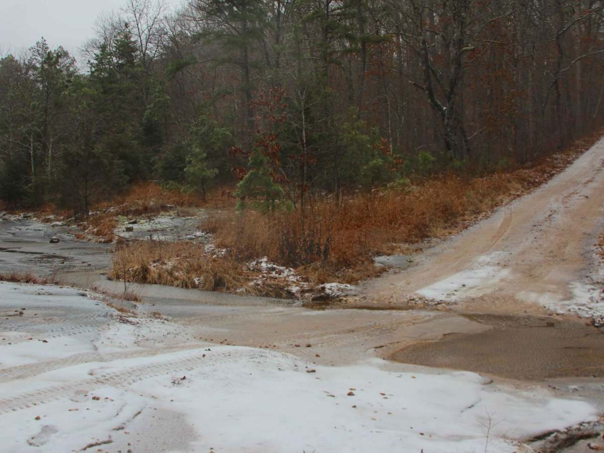 Meridian - FS 2421 trail photo
