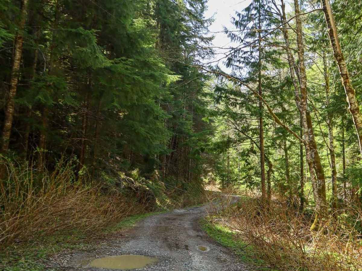 Texas Pond Road photo 3