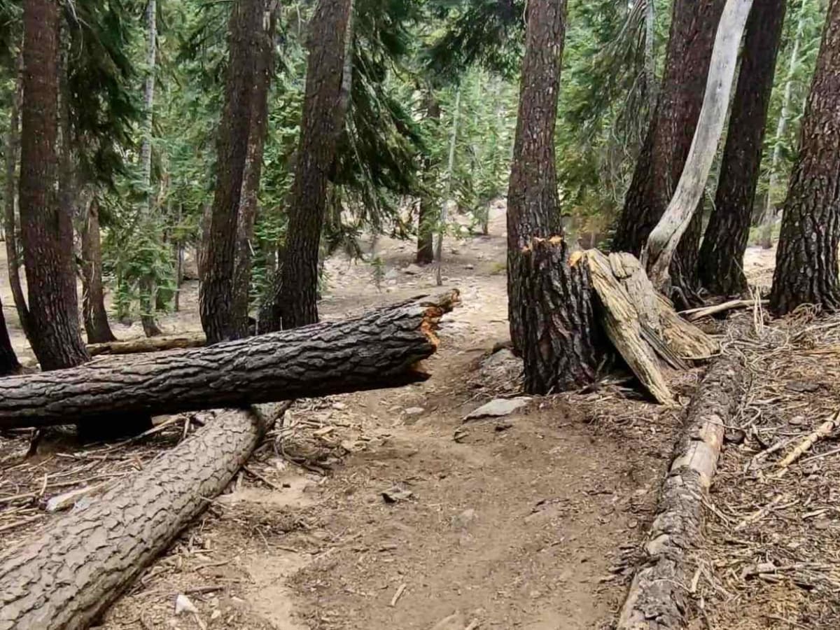 Sherman Pass photo 2