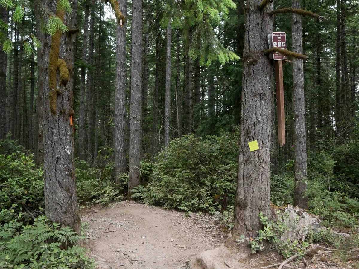 Mission Creek photo 4