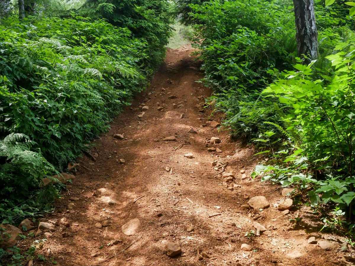 PC50 trail photo
