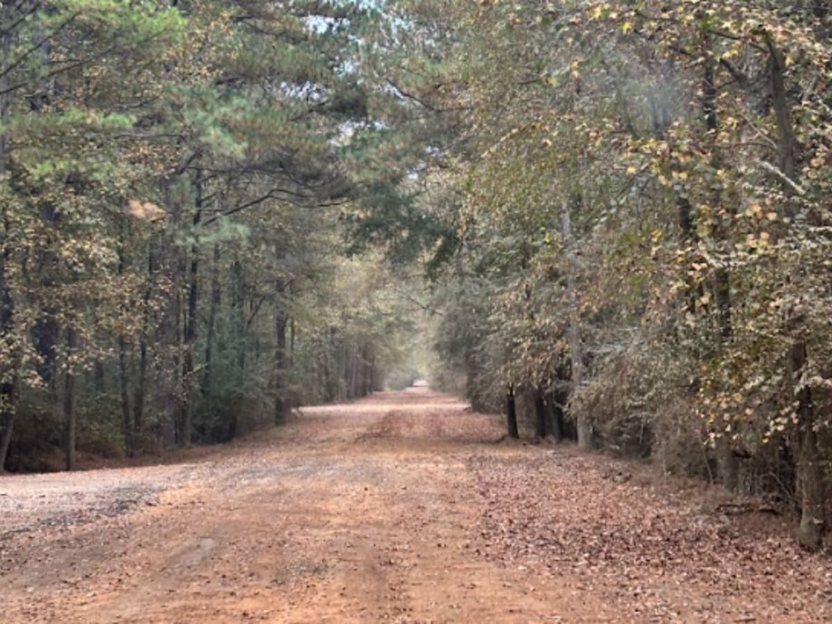 20 trail photo