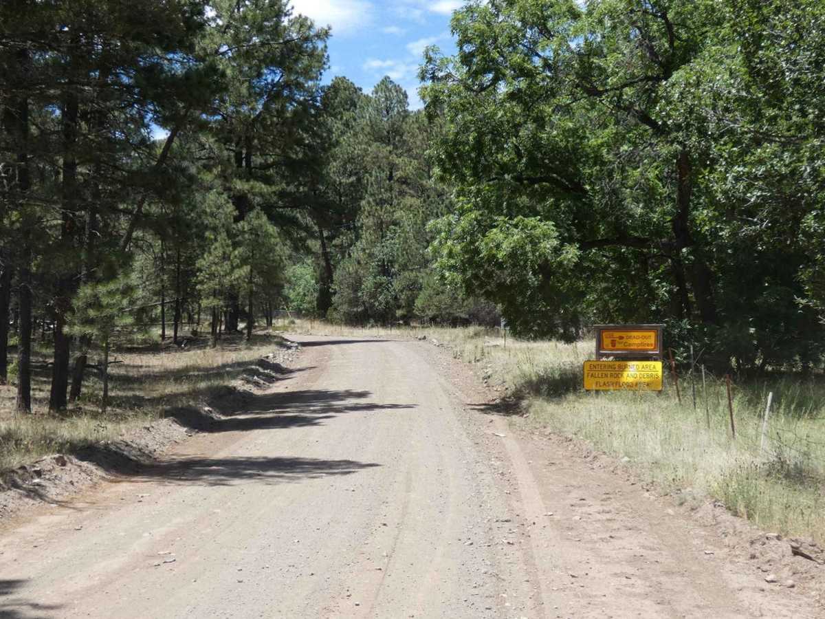 Nogal Canyon FSR-400 photo 3