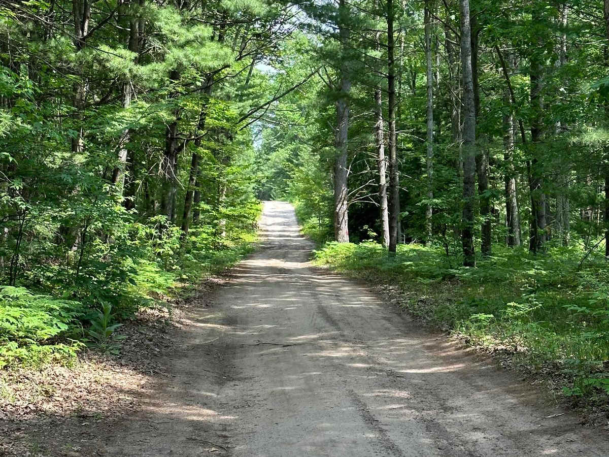 Rogers Road - Trail 58421 photo 2