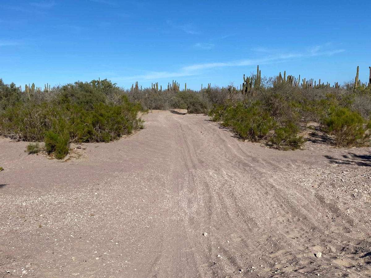 Dos Ranchos Loop photo 3