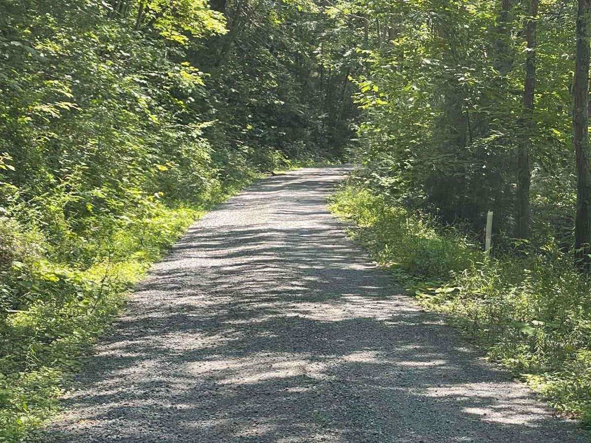 Sinking Springs Road photo 4
