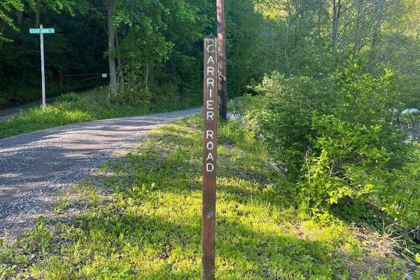 Carrier Road