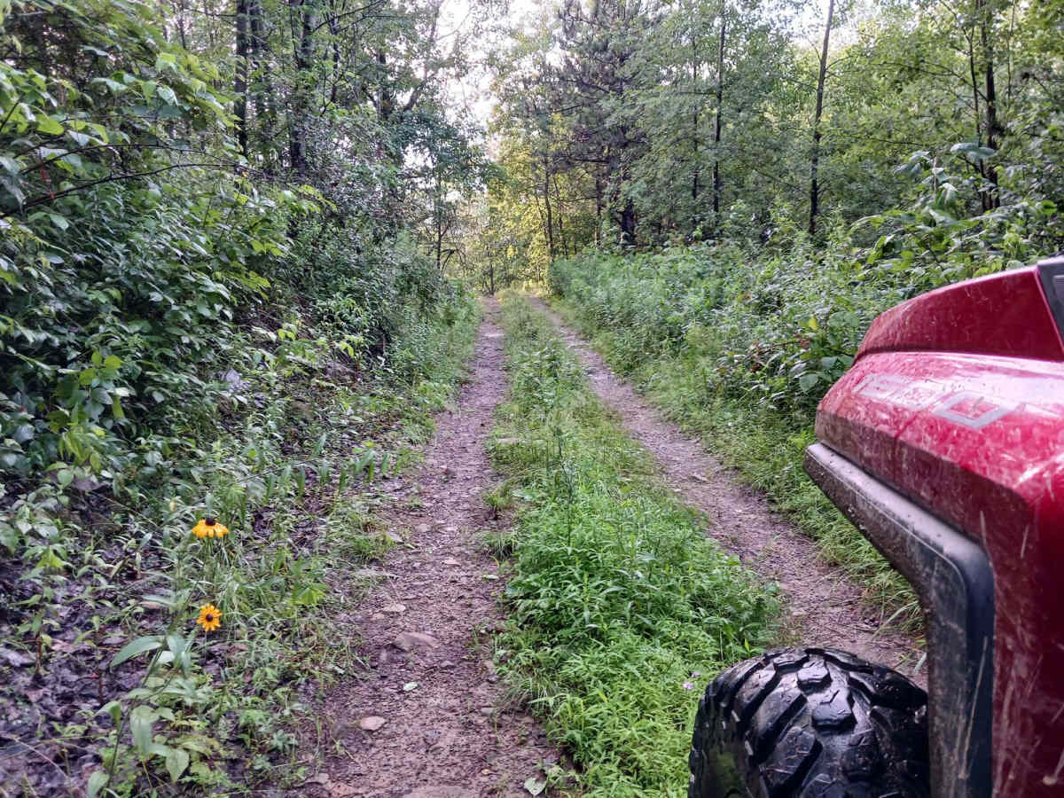 Trail 11I - Rock Run Recreation Area photo 6