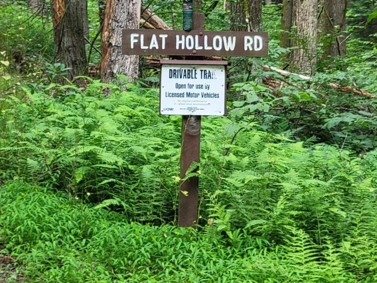 Flat Hollow photo 3