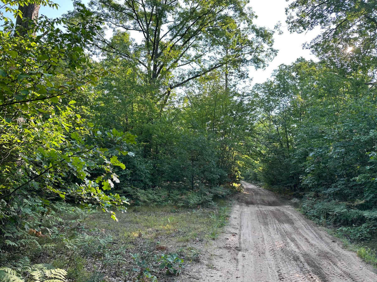 Lake Trail FS 6332 photo 6