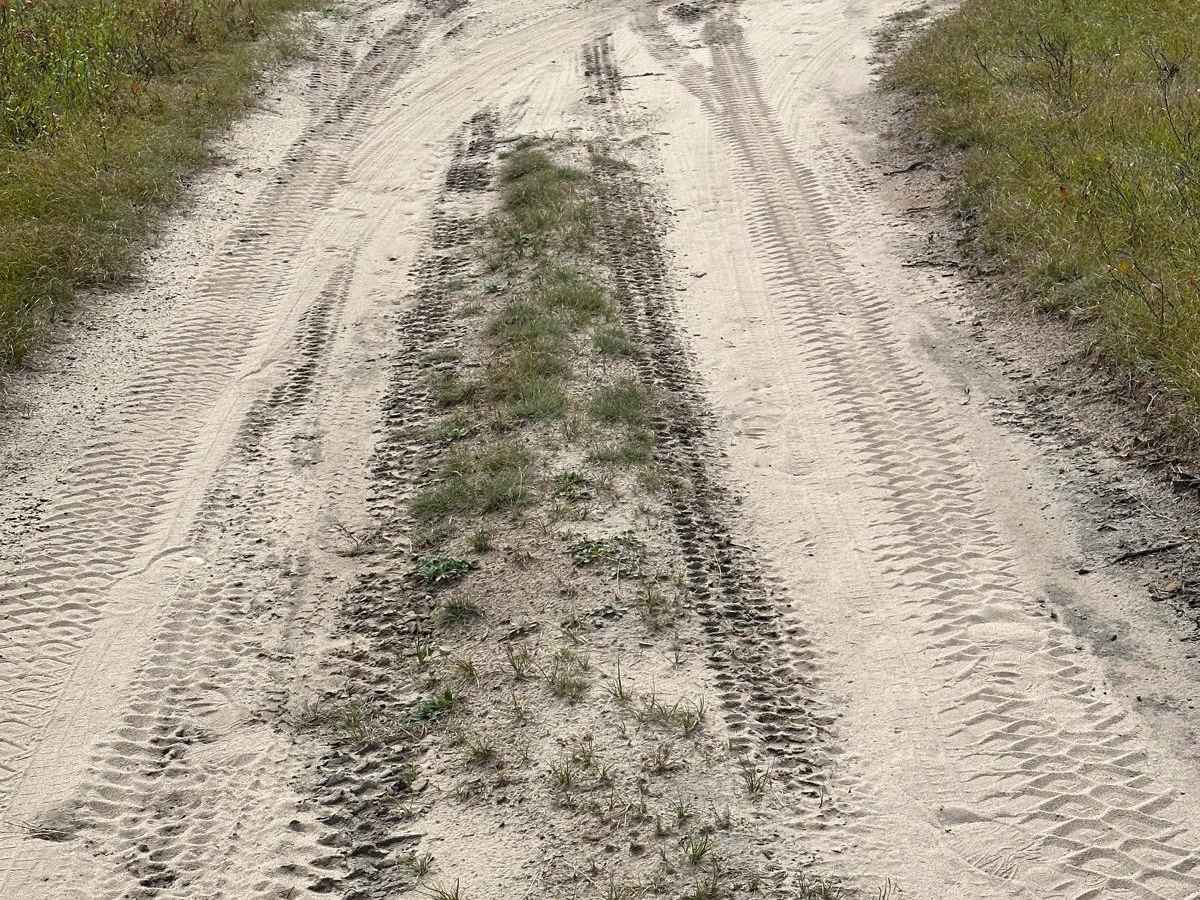 FS 2330 photo 2
