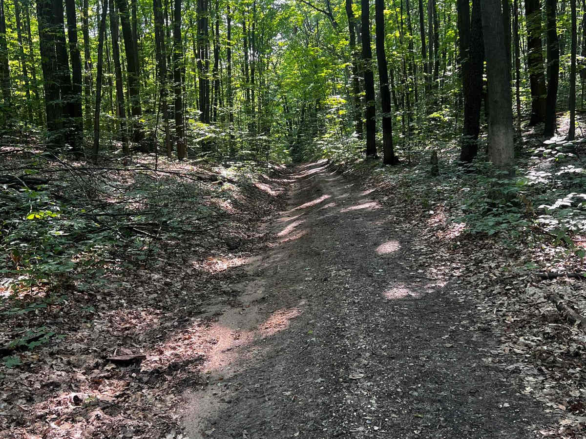 NFS 5032 trail photo