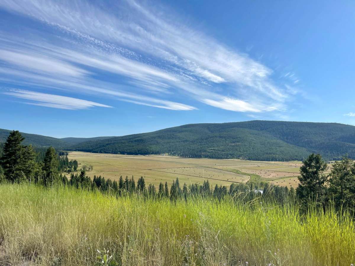 Mount Creek trail photo