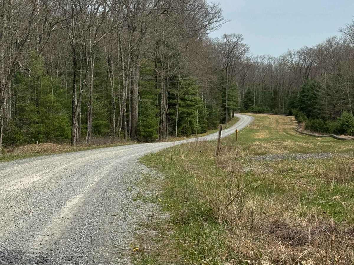 Lebo Road photo 4
