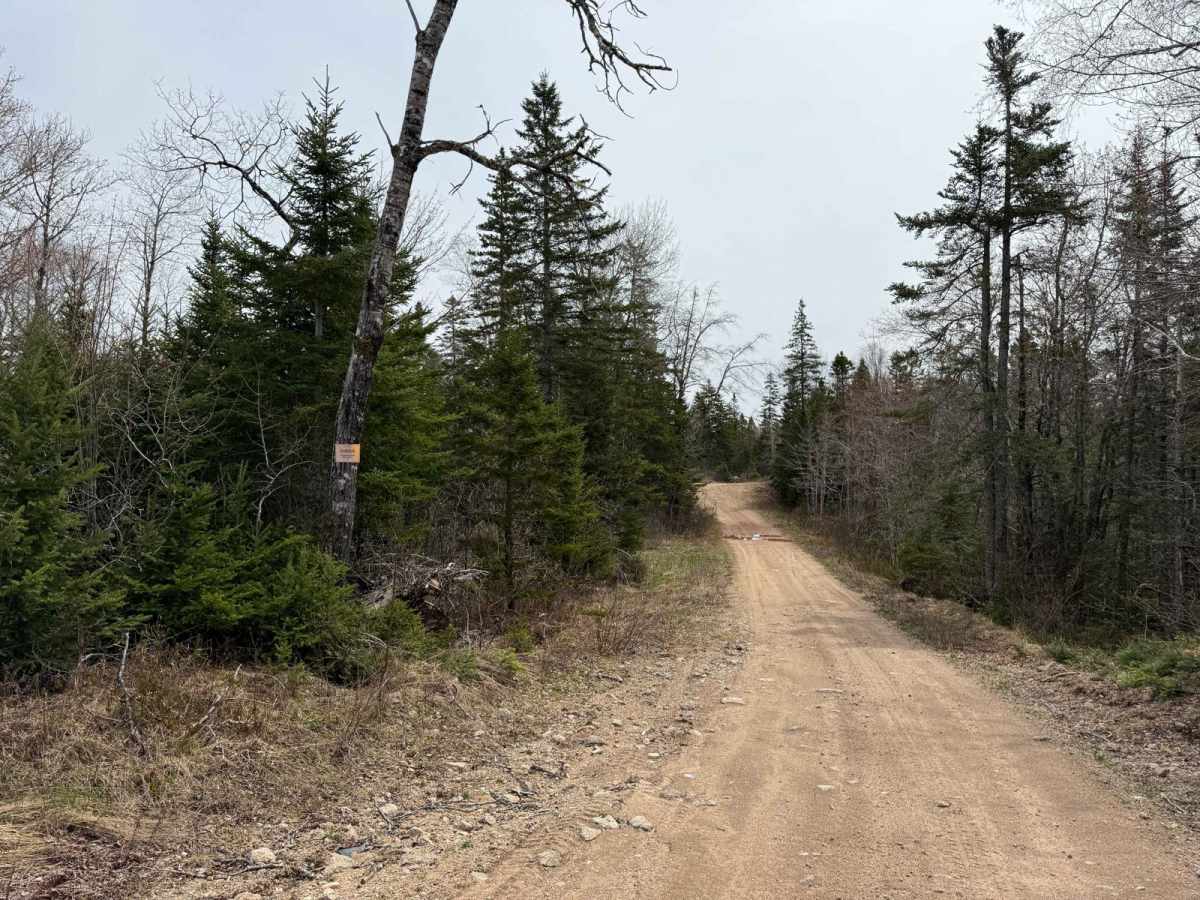 Route 12 photo 6
