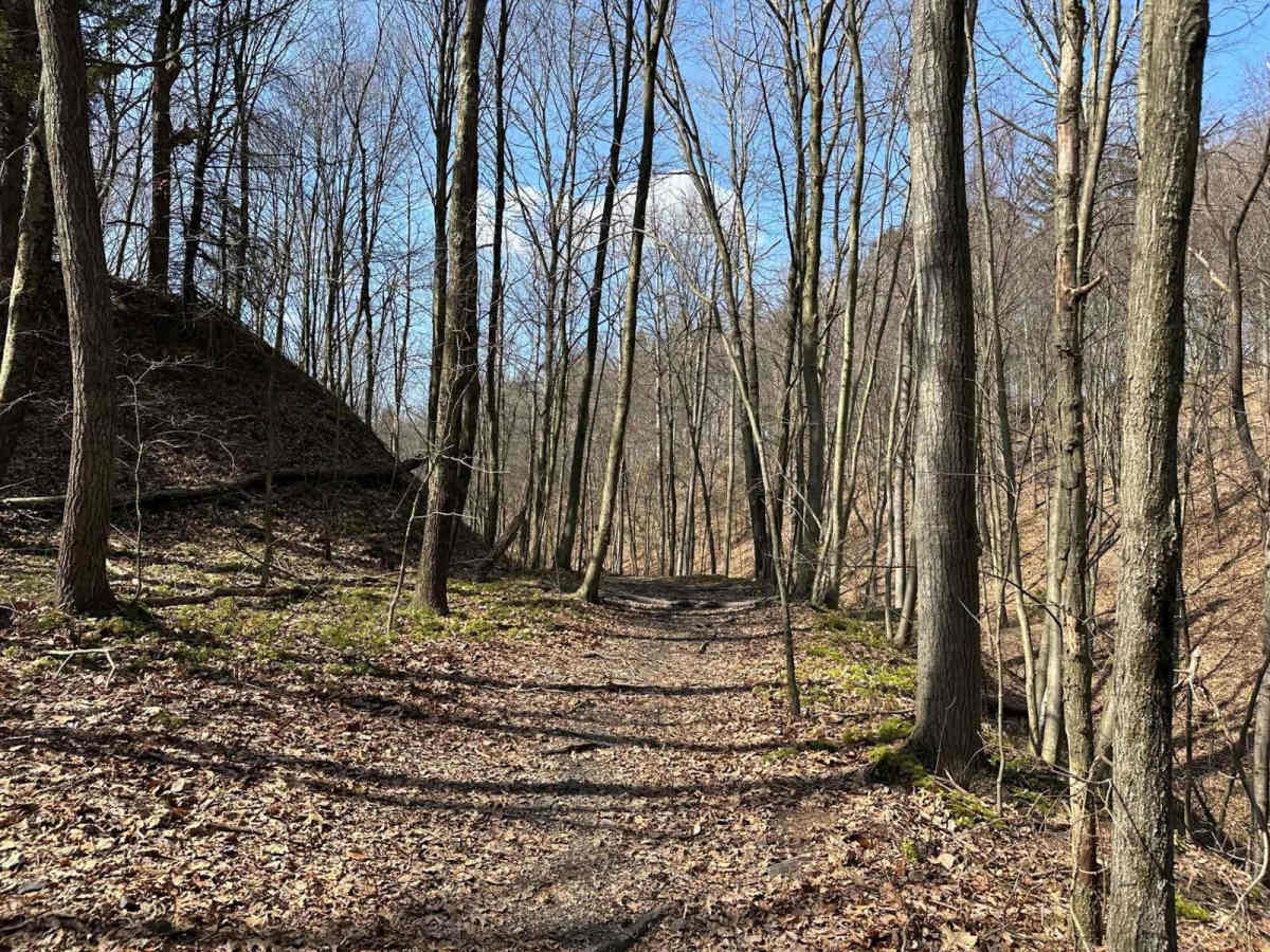 Ashland 25 photo 2