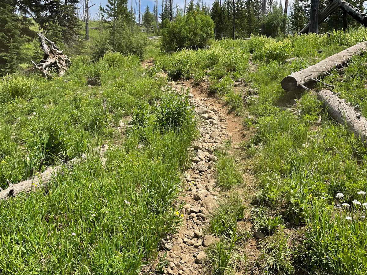 Clayburn Creek West photo 3
