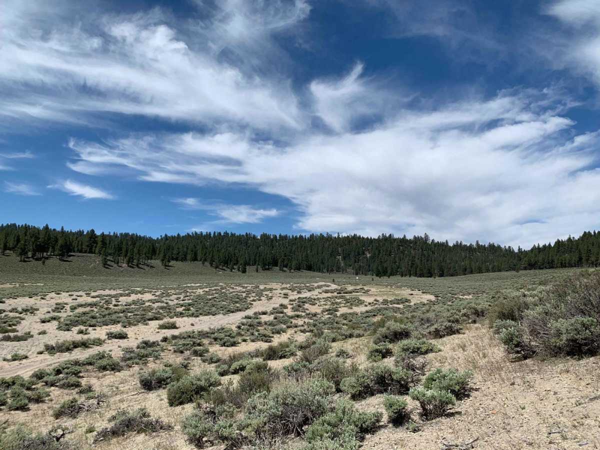 Dry Creek Gulch (28E210) photo 2