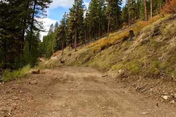 South Fork Nemote - Sheridan Ridge Loop