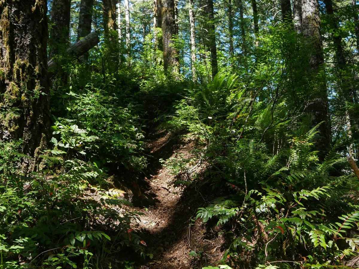 #106 trail photo