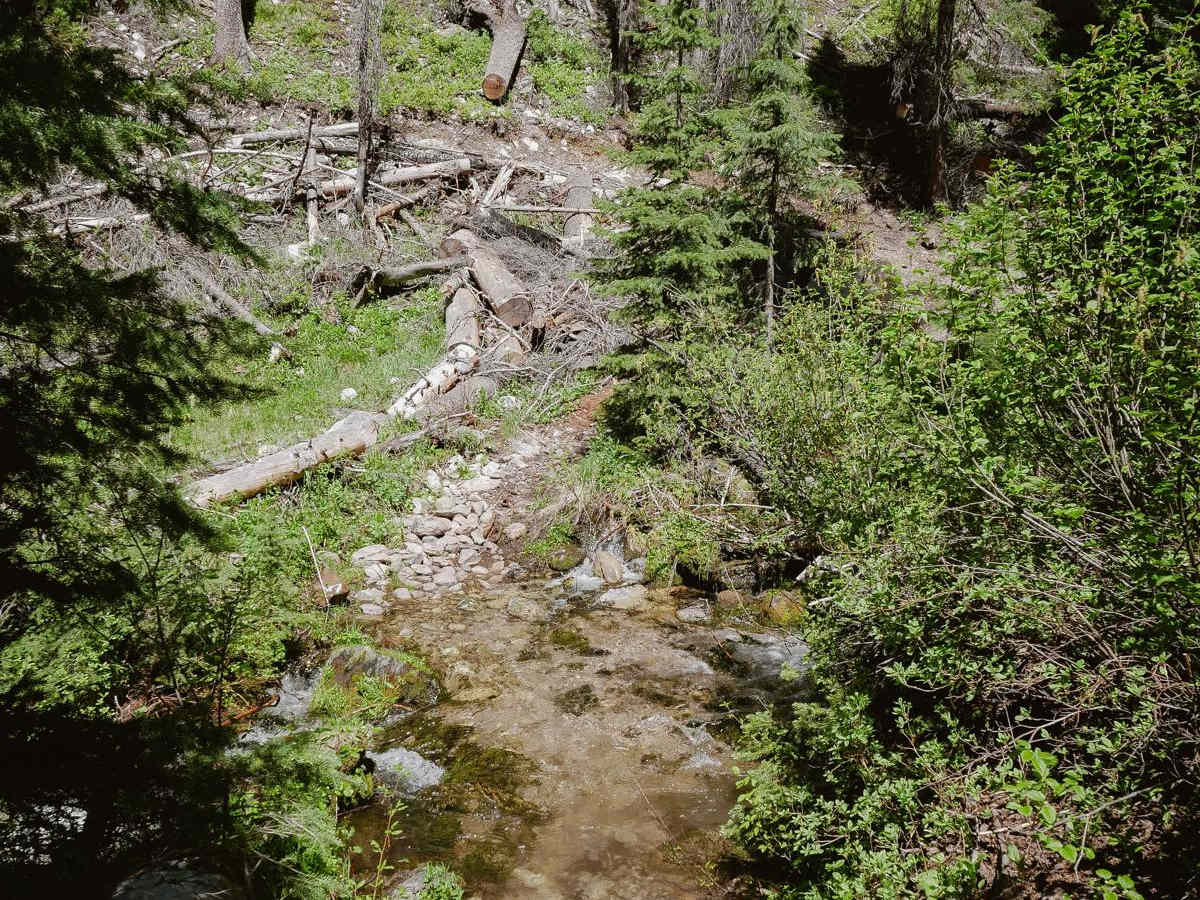 Hughes Creek photo 6