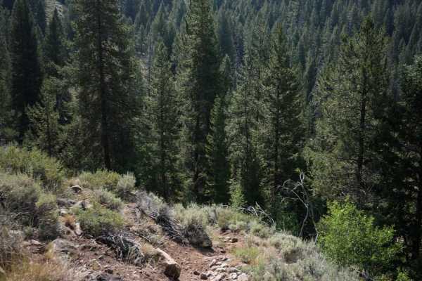 Eleven Mile - Martin Creek ATV