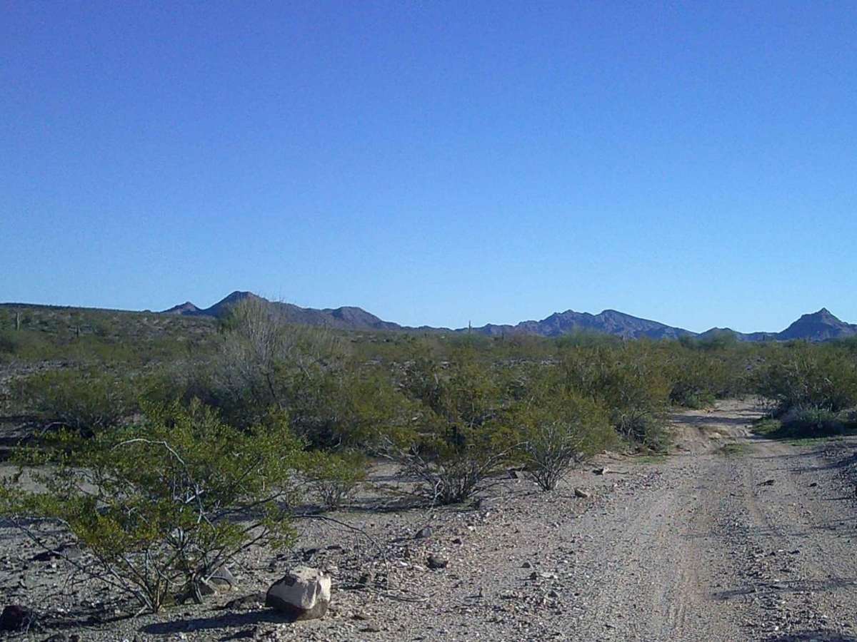 Rocky Camp photo 4
