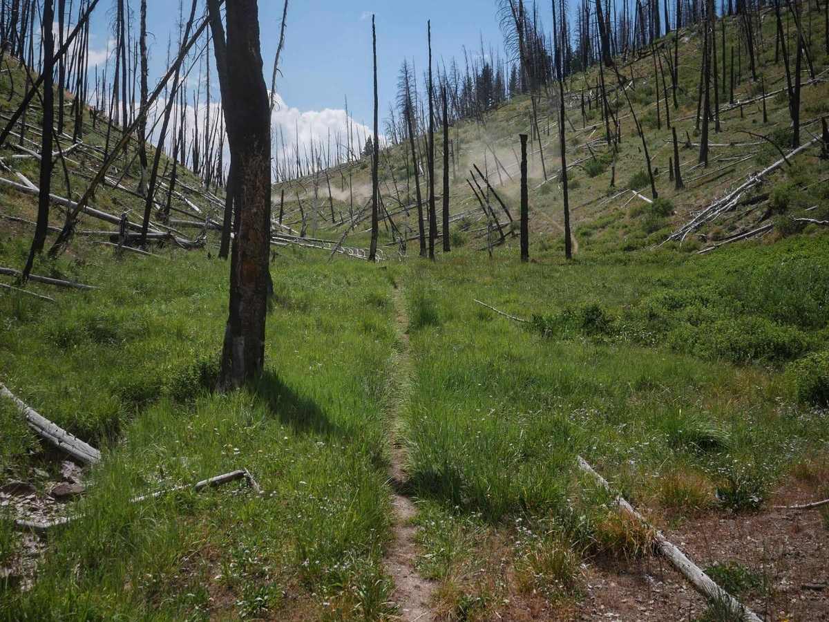 Little Basin Cutoff photo 3